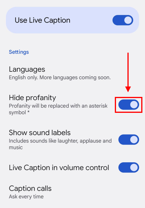 Tap the toggle switch for Hide Profanity to turn the asterisks on or off.